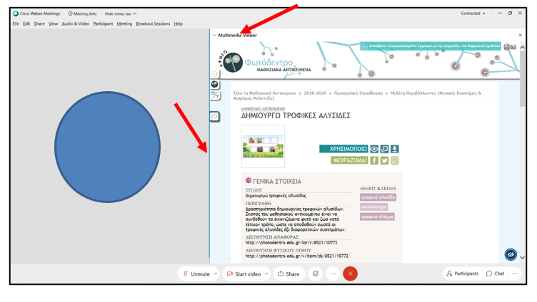 Multimedia Viewer Panel