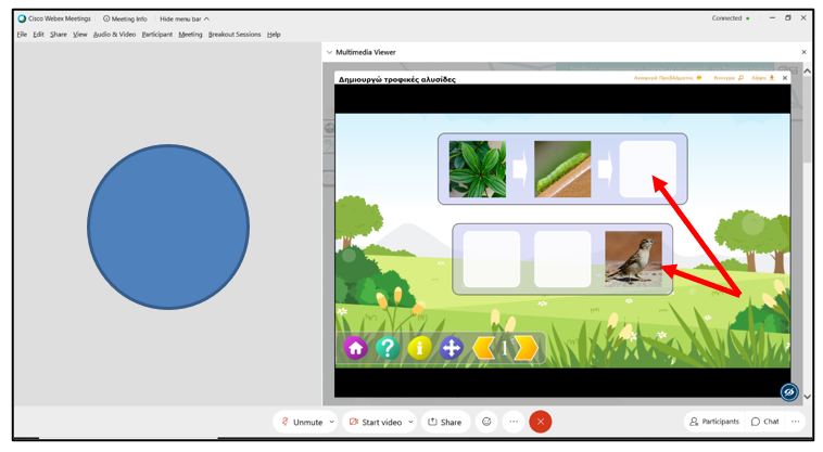 Multimedia Viewer Panel2