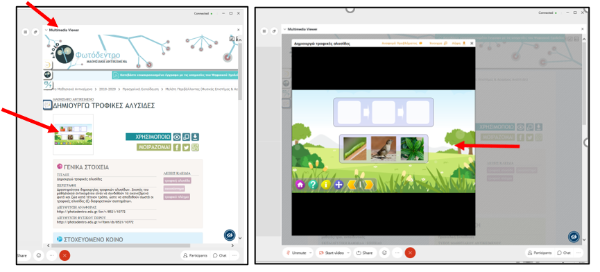 Share Multimedia participants screens